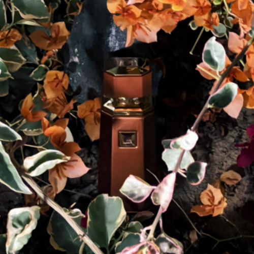 Liquid Brun for Men by French Avenue 3.4fl oz - Image 6