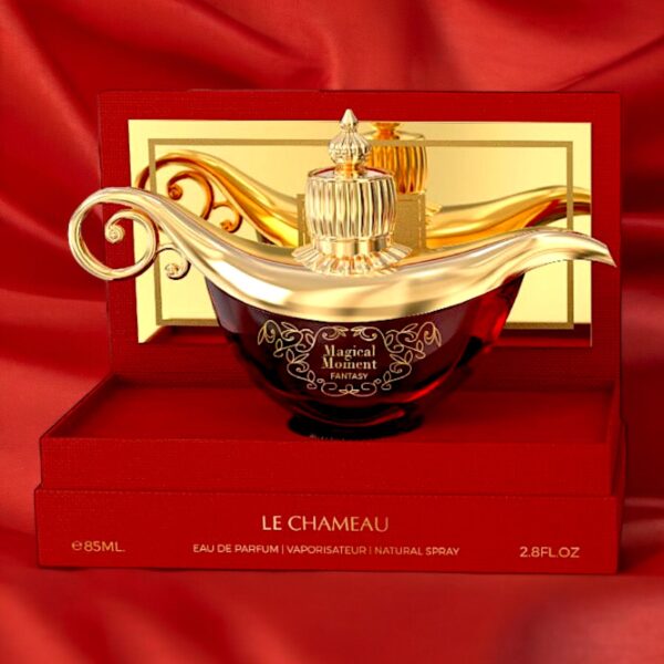 Magical Moment Fantasy by  Le Chameau